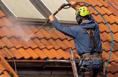 Démoussage et hydrofuge de toiture à Sentelie